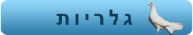 הרחקת יונים - גלריות