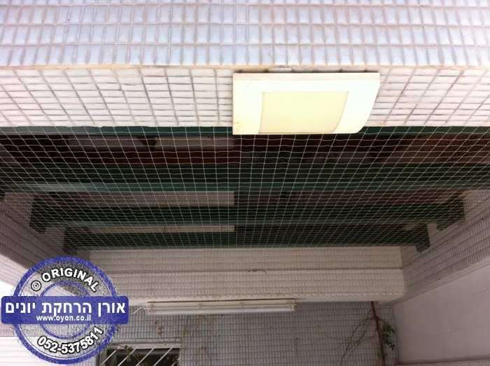 גלריית רשת יונים חופה