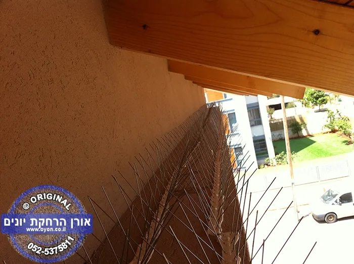 גלריית דוקרנים בפרגולה