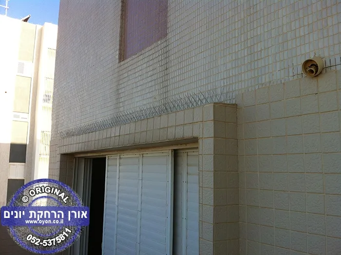 גלריית דוקרנים בחלון