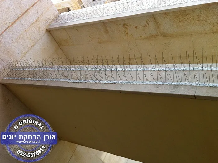 גלריית דוקרנים בבניין