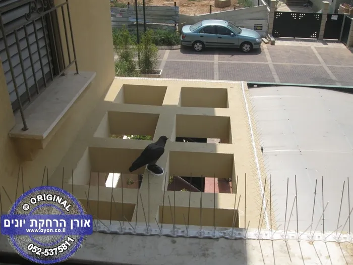 גלריית דחלילי עורבים