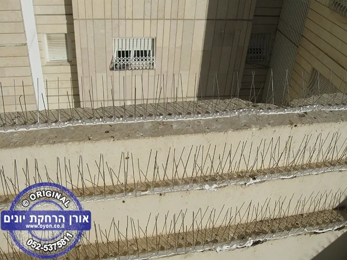 גלריית דוקרנים