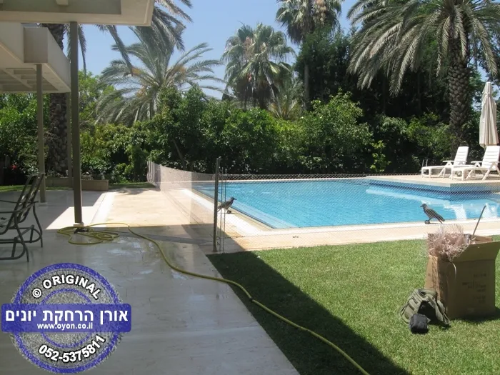 גלריית רשת בטיחות לבריכה