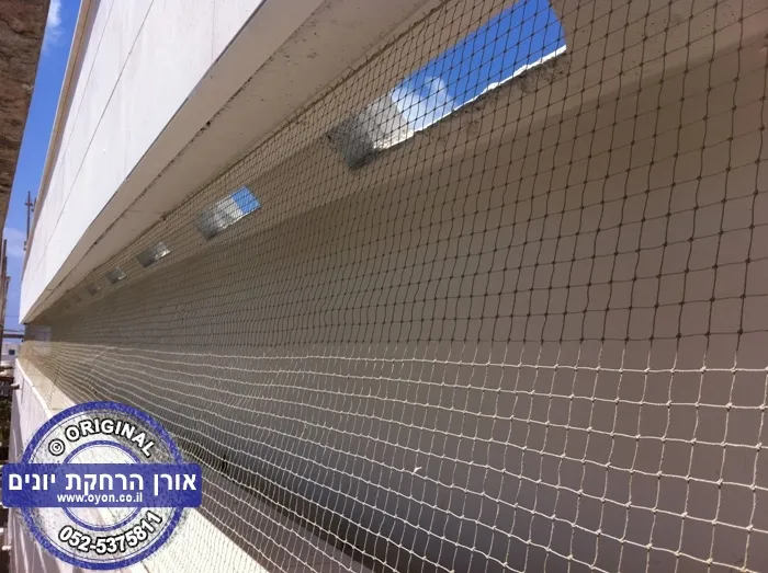 גלריית התקנת רשת נגד דרורים, ציפורים